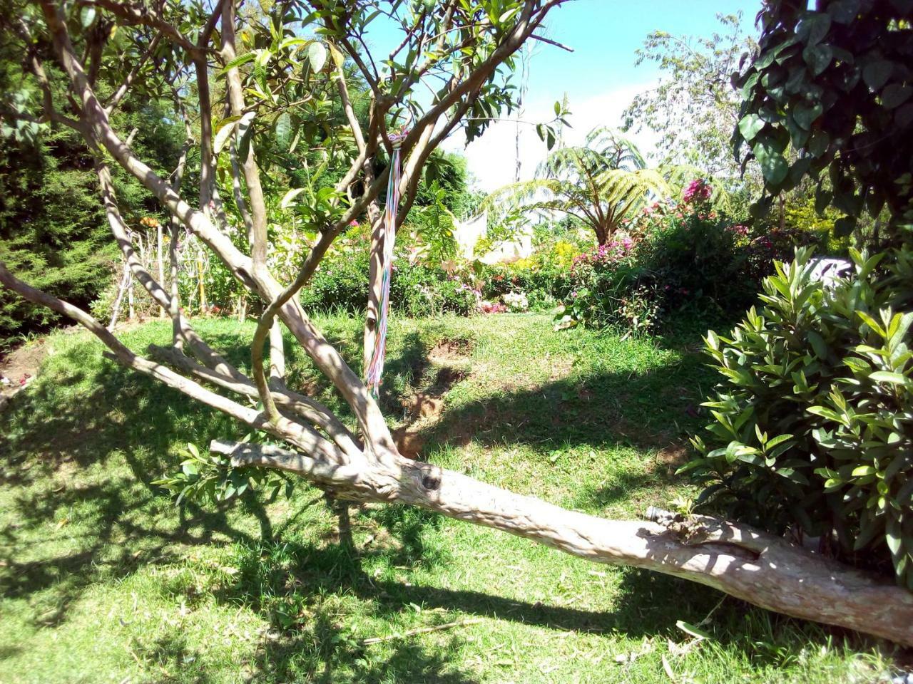 Fairy Hostel Νουβάρα Ελίγια Εξωτερικό φωτογραφία